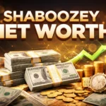 shaboozey net worth
